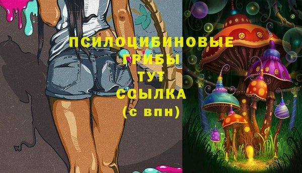 герыч Нязепетровск