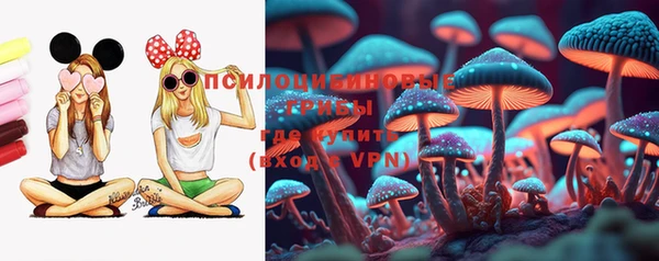 героин Няндома