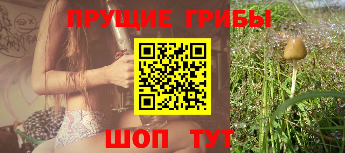 Псилоцибиновые грибы MAGIC MUSHROOMS  Галлюциногенные грибы Psilocybe  Анапа  Вход с VPN 