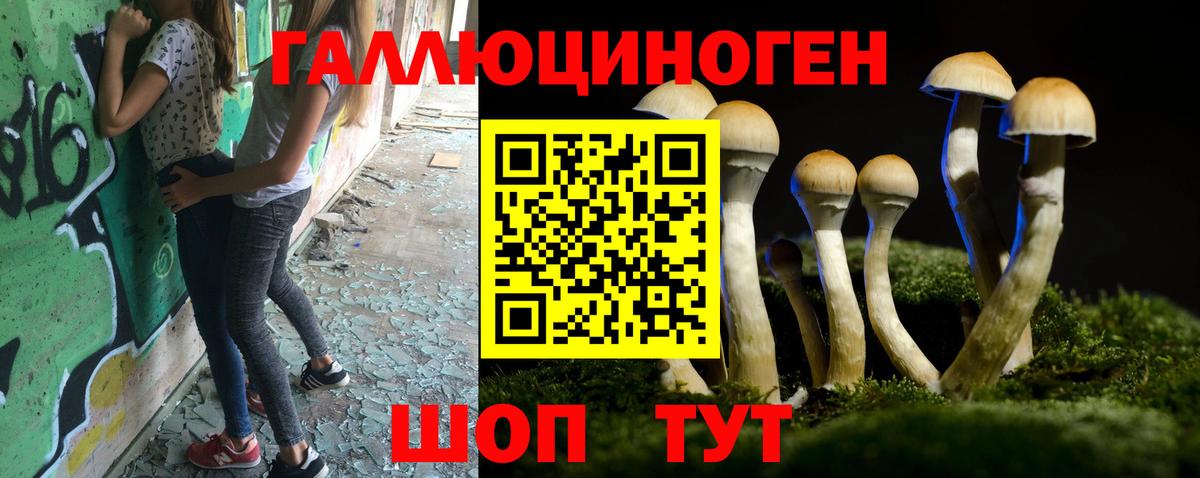 Галлюциногенные грибы Cubensis Анапа