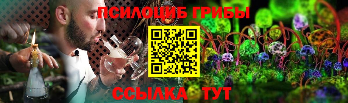 Псилоцибиновые грибы Psilocybine cubensis  Галлюциногенные грибы прущие грибы  Анапа 